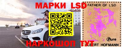 скорость Дубна