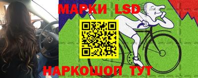 скорость Дубна